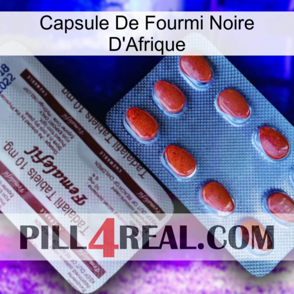 Africa Black Ant Capsule 36